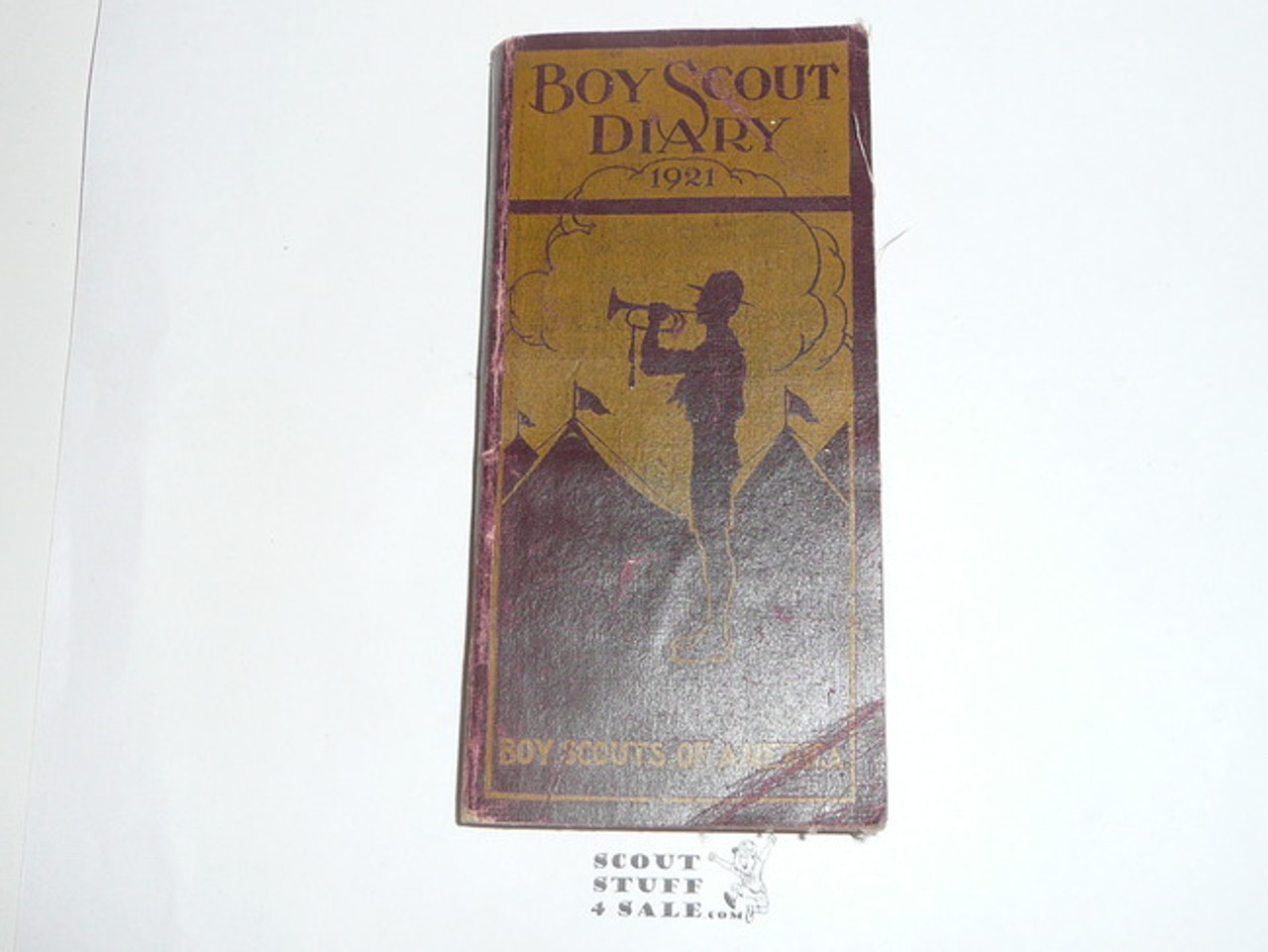 1921 Boy Scout Diary