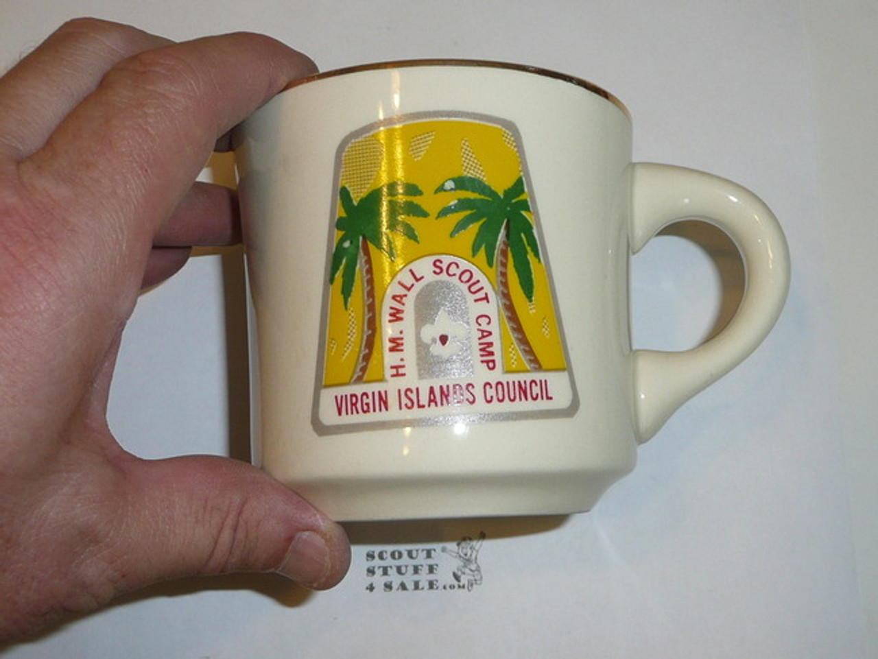 H.M. Wall Scout Camp Mug