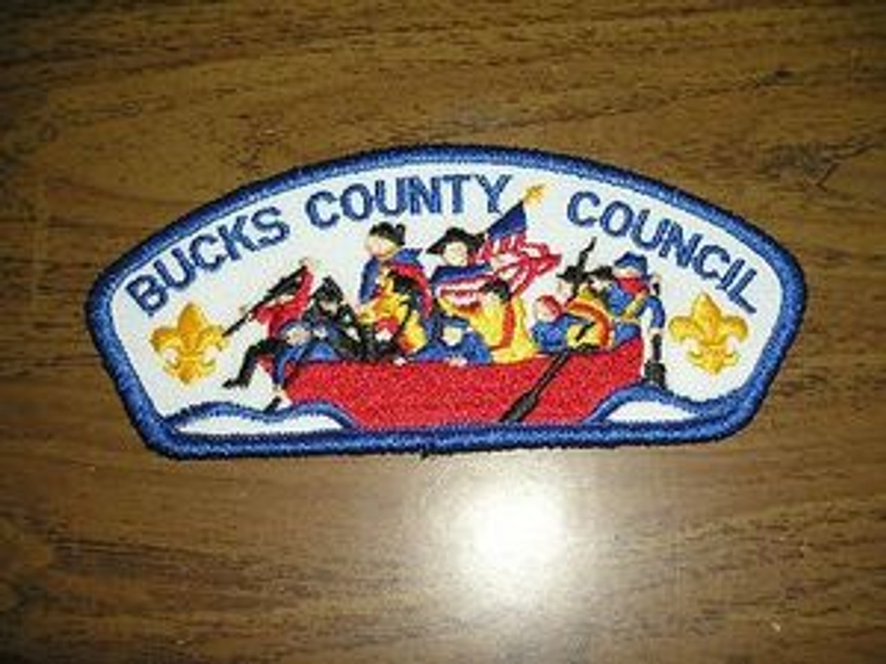 Bucks County Council ta19 CSP - Scout