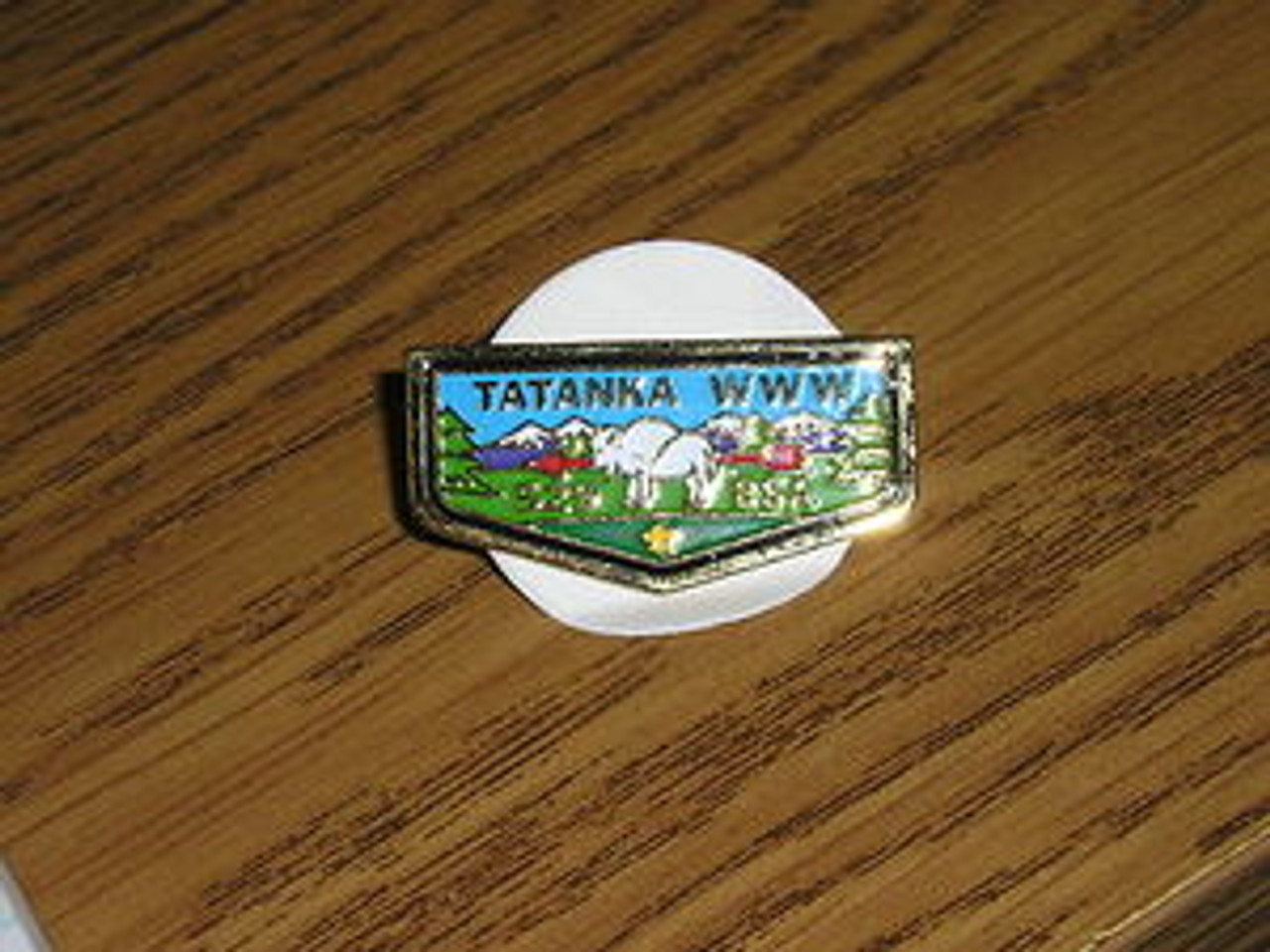 TaTanka O.A. Lodge #529 Flap Pin - Scout