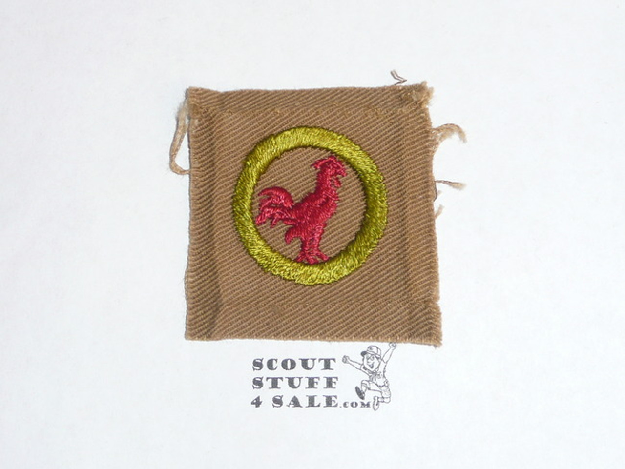 Poultry Keeping - Type A - Square Tan Merit Badge (1911-1933), lt use