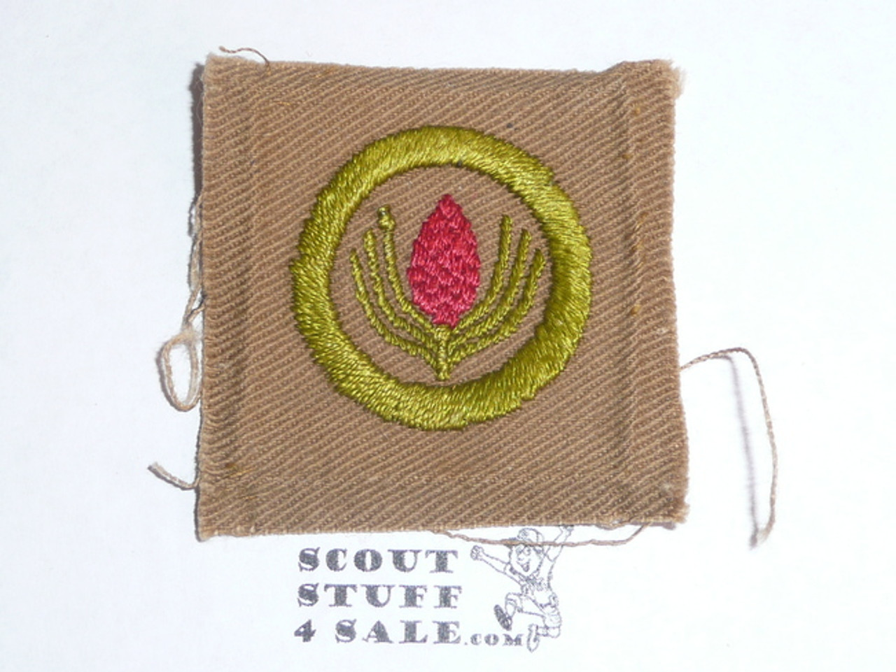 Forestry - Type A - Square Tan Merit Badge (1911-1933), lt use