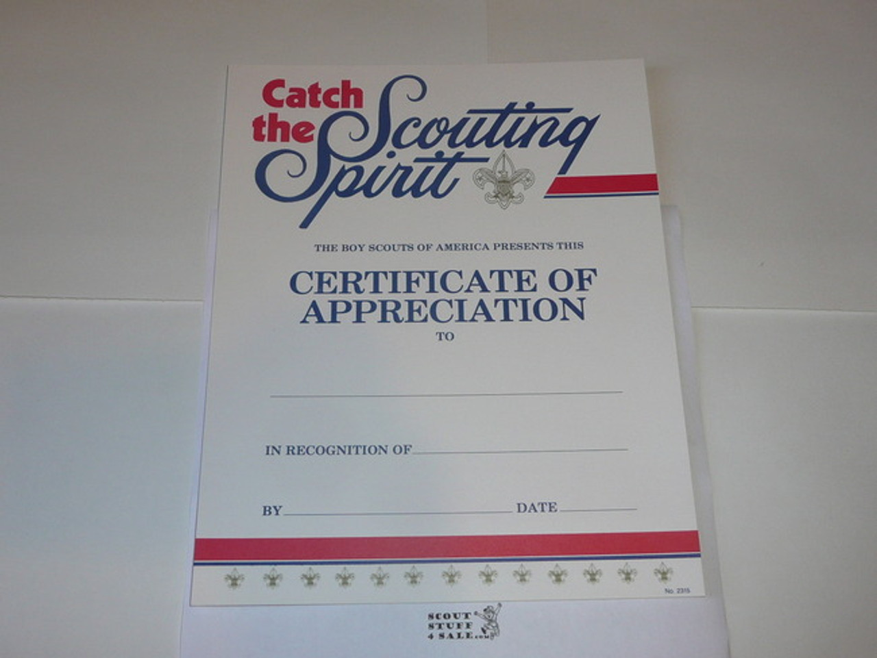 1980's Catch the Scouting Spirit Certificate of Appreciation, Blank