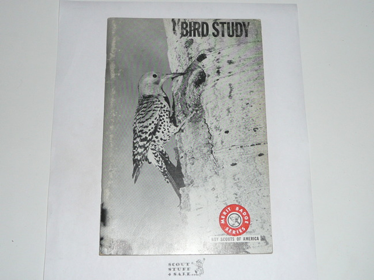 Bird Study Merit Badge Pamphlet, Type 7, Full Picture, 1-71 Printing