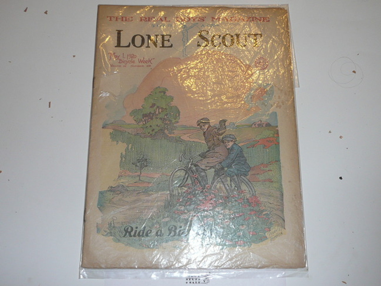 1920 Lone Scout Magazine, May 01, Vol 9 #28