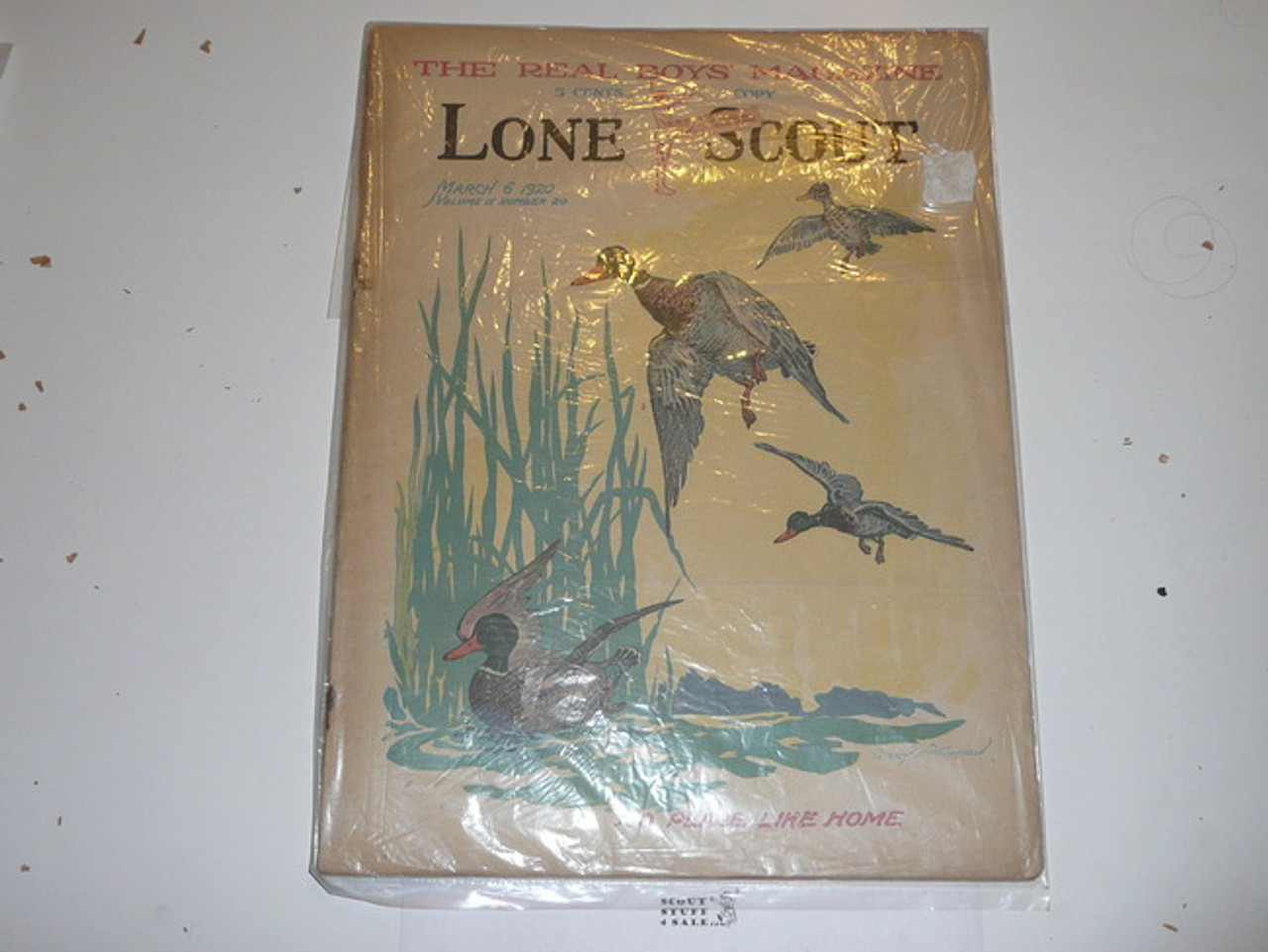 1920 Lone Scout Magazine, March 06, Vol 9 #20