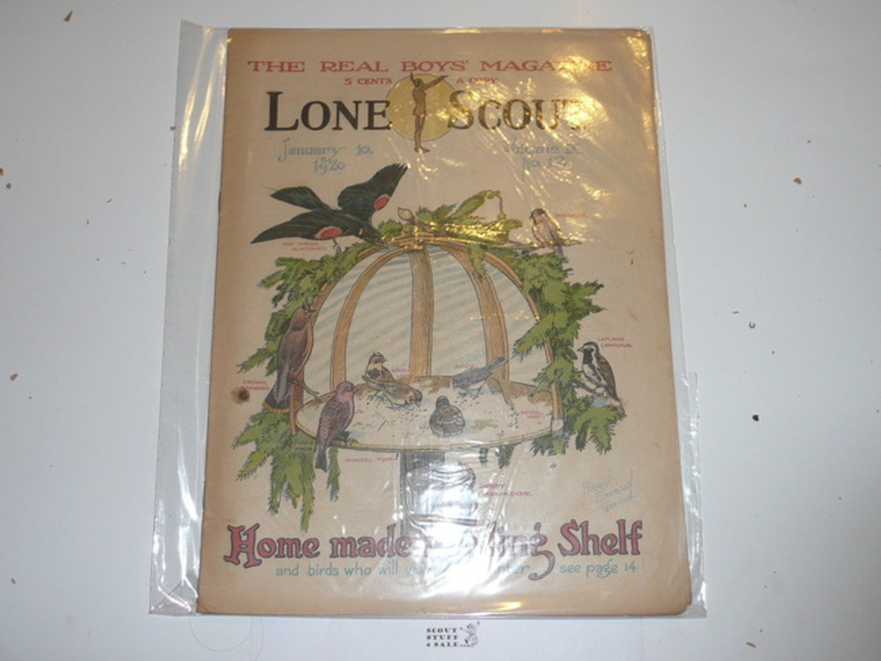 1920 Lone Scout Magazine, January 10, Vol 9 #12
