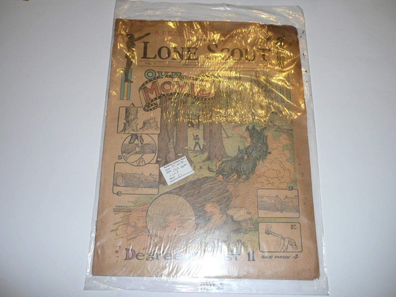 1916 Lone Scout Magazine, July 22, Vol 5 #39