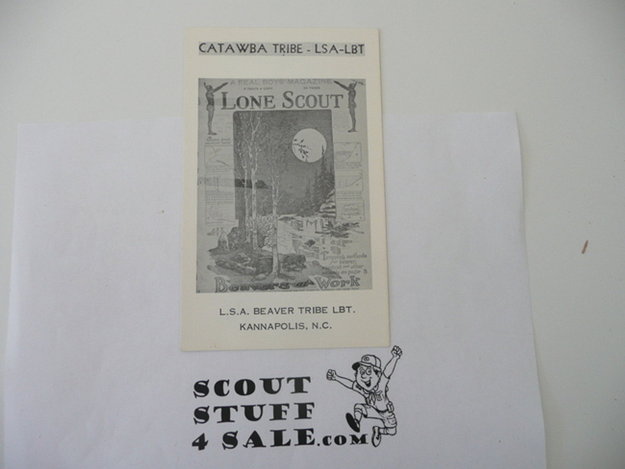 Lone Scout Postcard