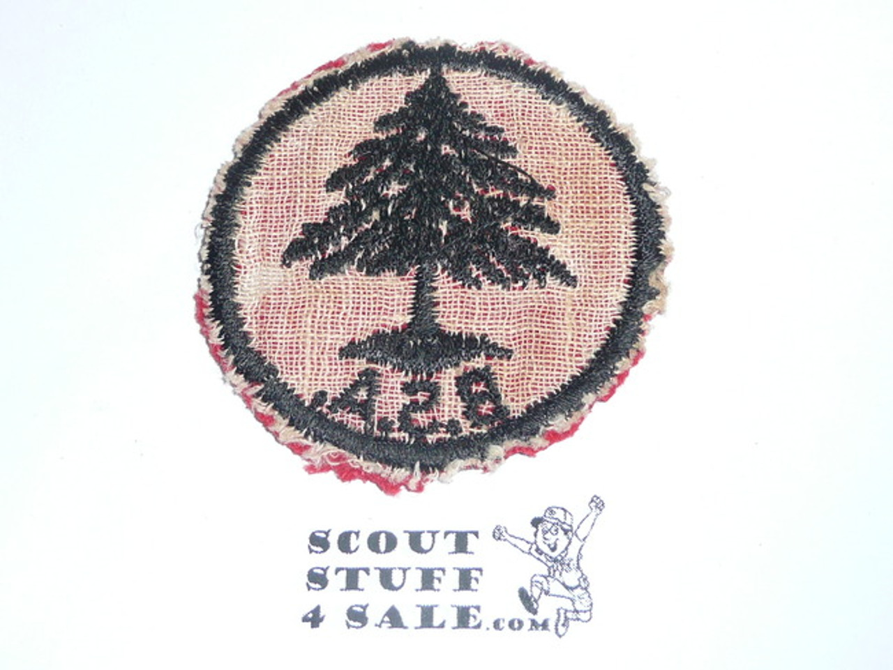 Pine Tree Patrol Medallion, Felt w/BSA & Solid Black Ring back, 1933-1939, Used withh a small moth hole