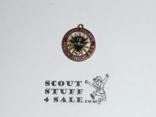 Region 12 Enameled Pendant