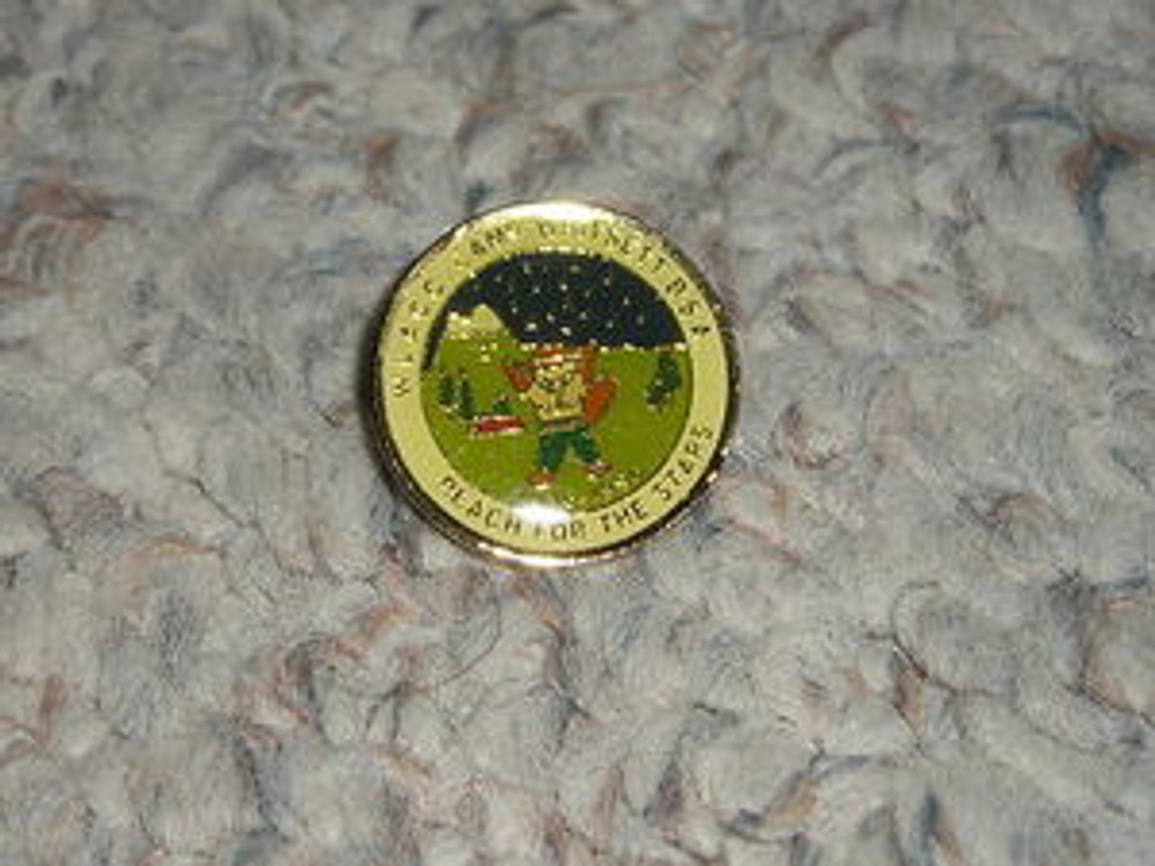 1996 Camp Whitsett Pin - Scout