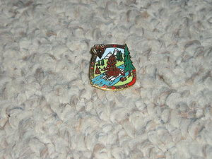 1985 Camp Whitsett Pin - 75th BSA Anniversary