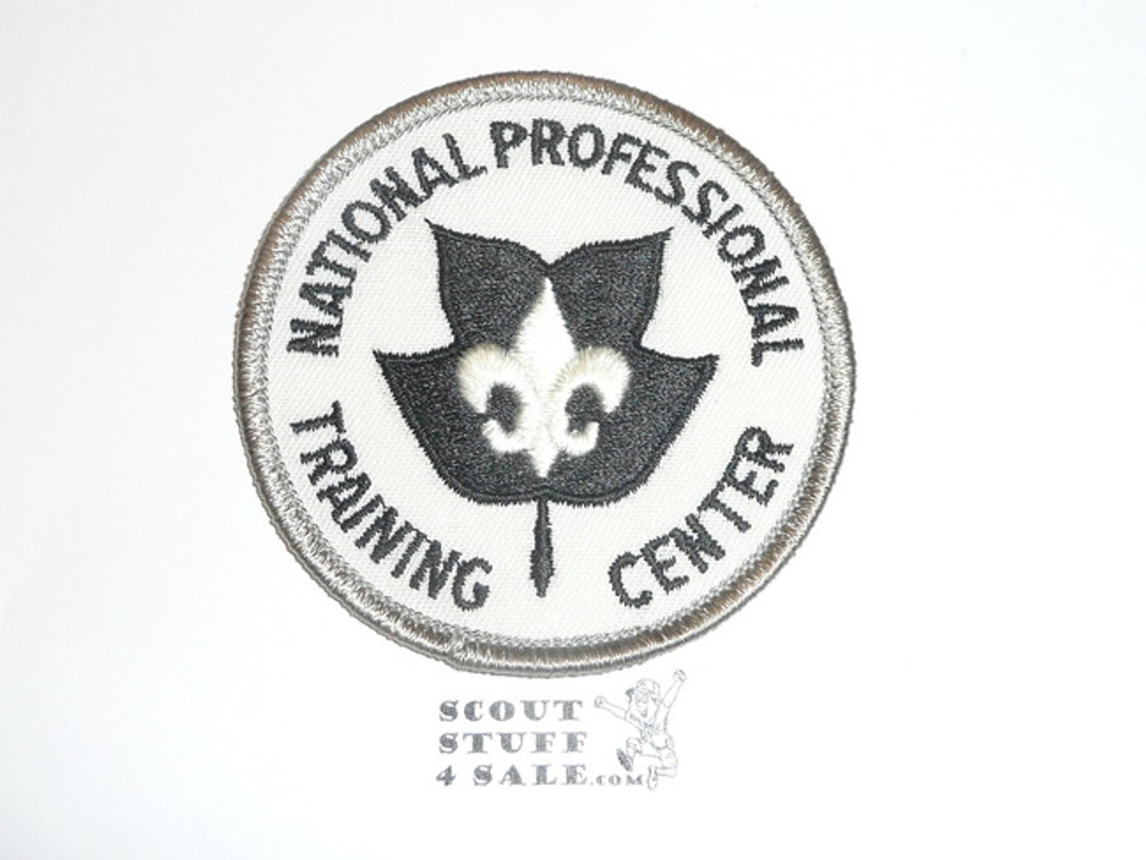 National Professional Training Center Patch