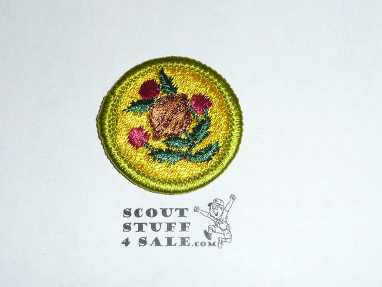 Fruit and Nut Growing - Type H - Fully Embroidered Plastic Back Merit Badge (1972-2002)