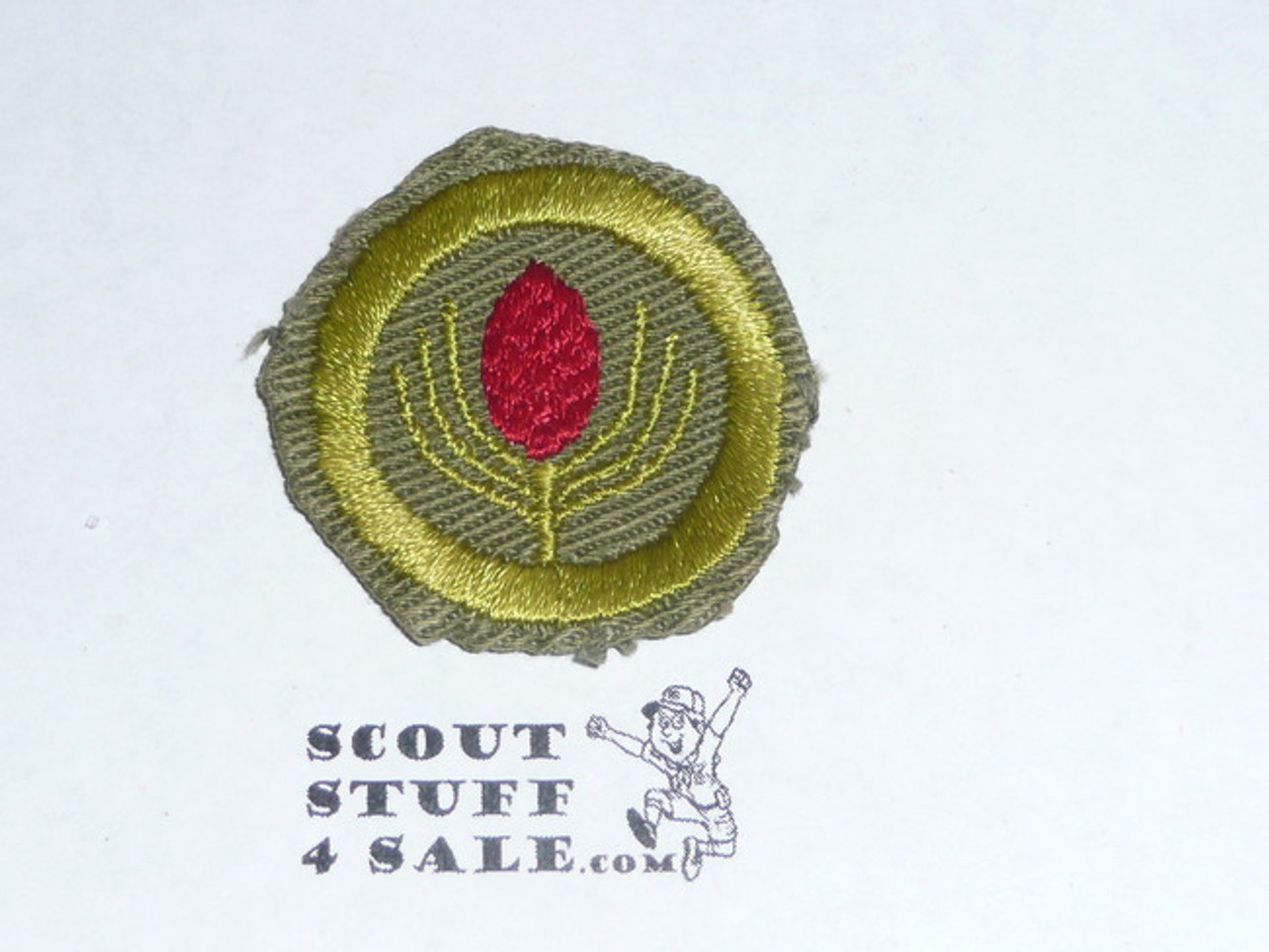 Forestry - Type E - Khaki Crimped Merit Badge (1947-1960)