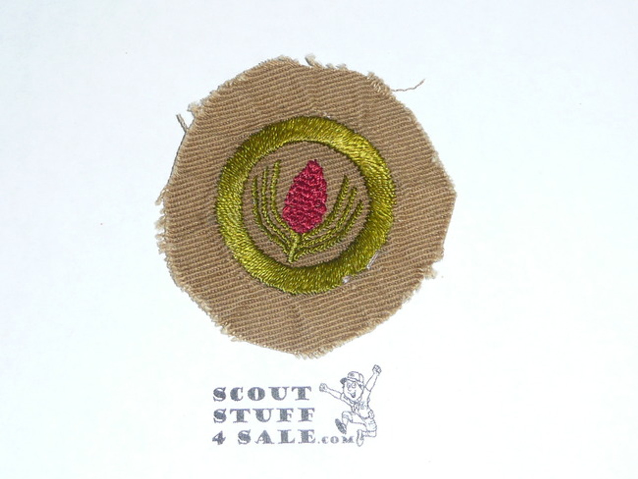 Forestry - Type A - Square Tan Merit Badge (1911-1933), Material trimmed and badge used