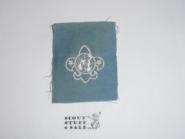 "United Nations Scout" Emblem