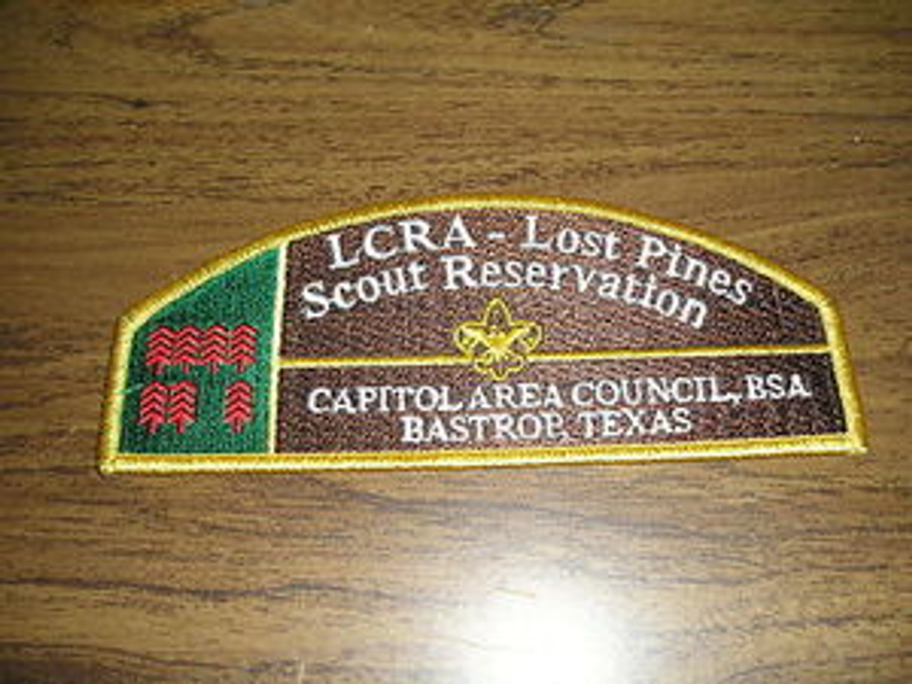 Capitol Area Council sa11 CSP