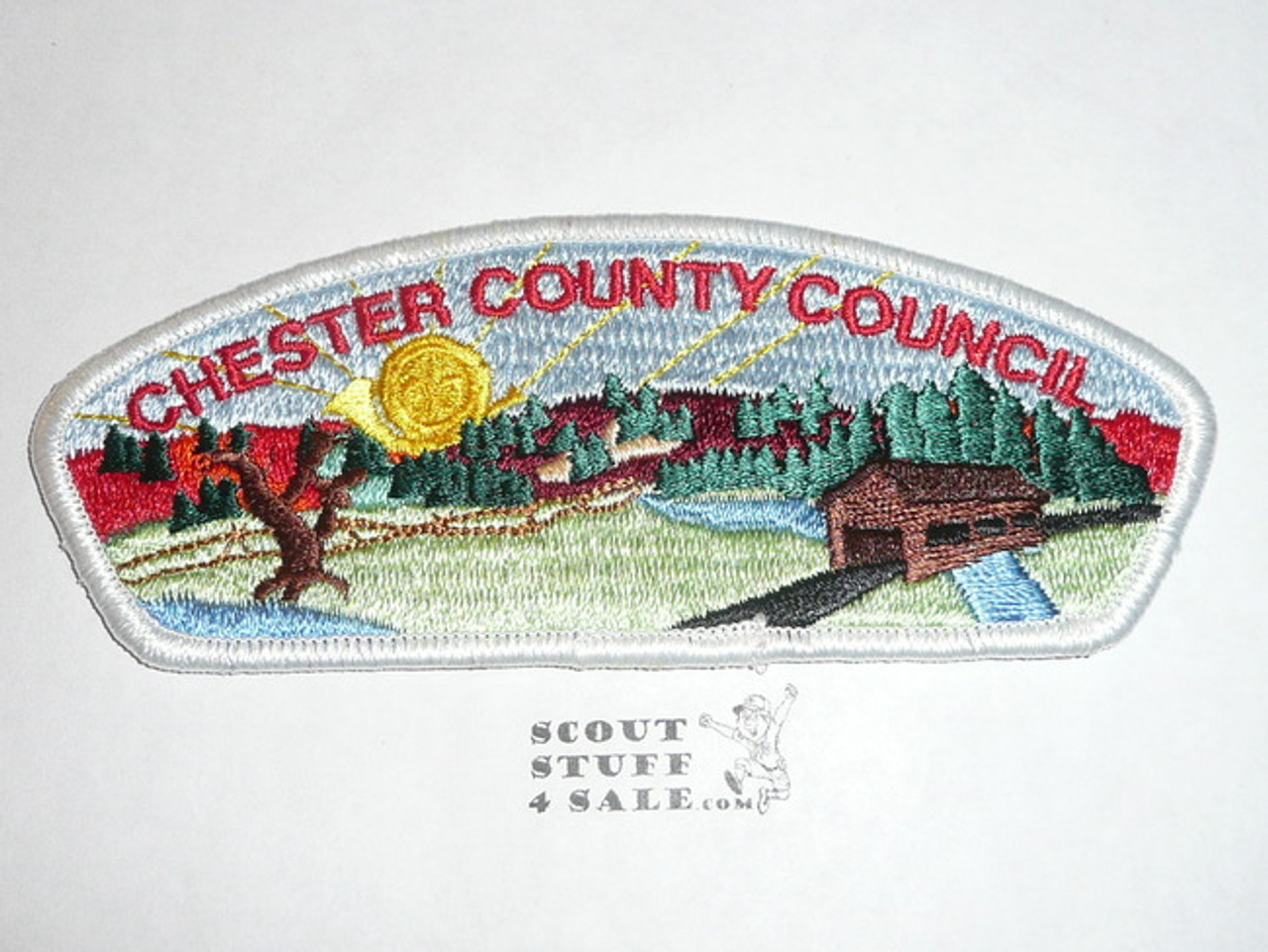 Chester County Council s4b CSP - Scout