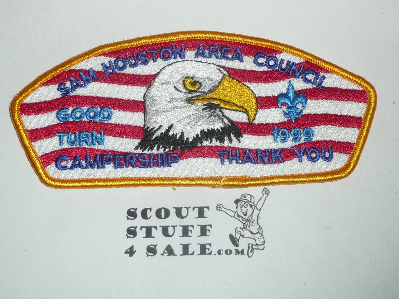 Sam Houston Area Council sa31 CSP