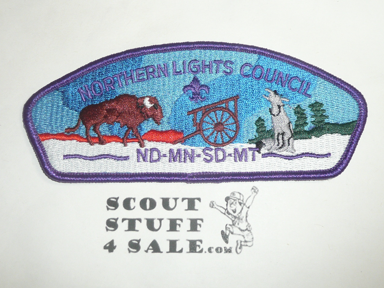 Northern Lights Council s5 CSP - Scout