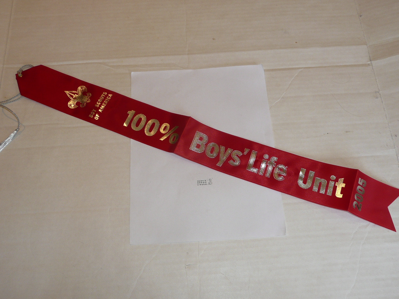 MINT 2005 100% Boys' Life Unit Ribbon - Scout