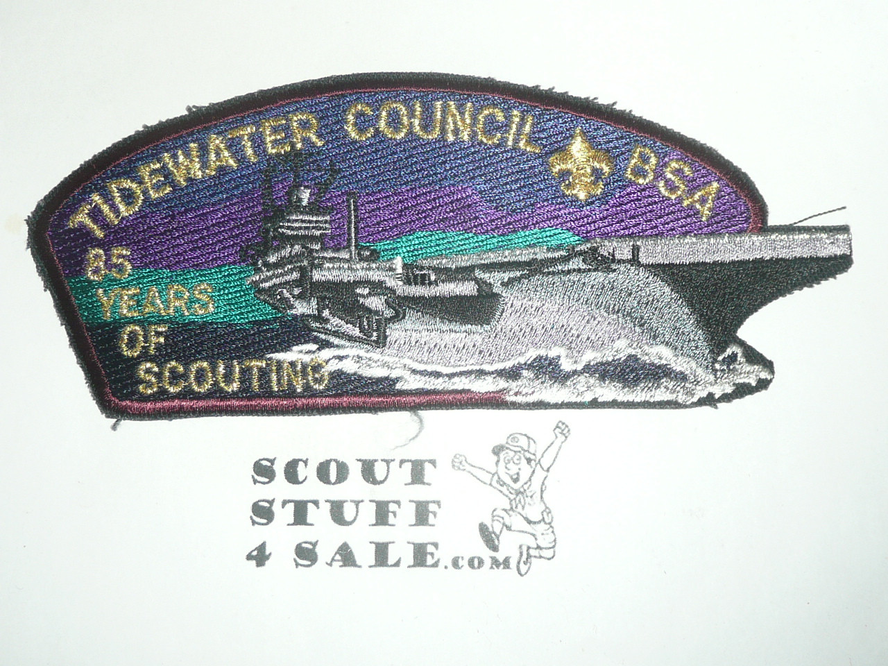 Tidewater Council s9 CSP - Scout