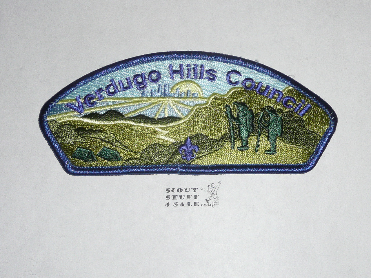 Verdugo Hills Council s31 CSP - Scout