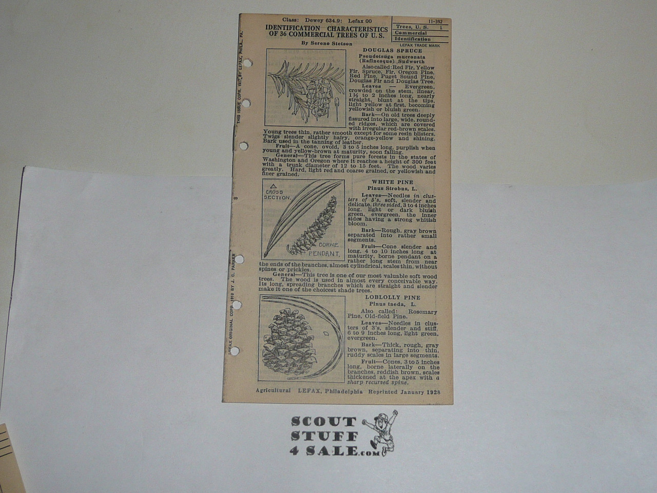 Lefax Boy Scout Fieldbook Insert, Identification Characteristics of 36 commercial Trees in the U.S., 1928