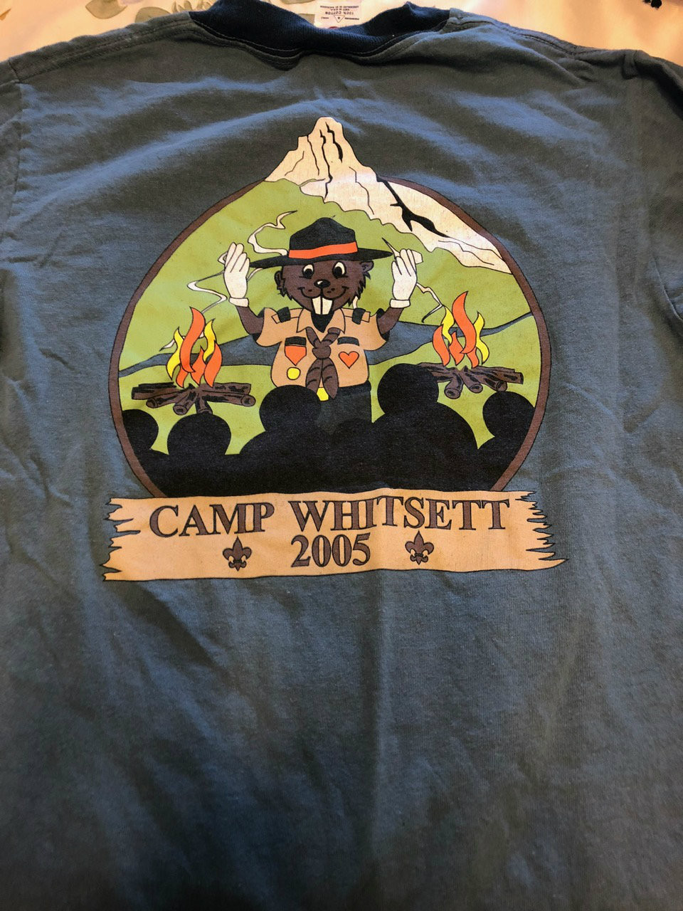 2005 Camp Whitsett Tee Shirt, Mens Small, Lite Use