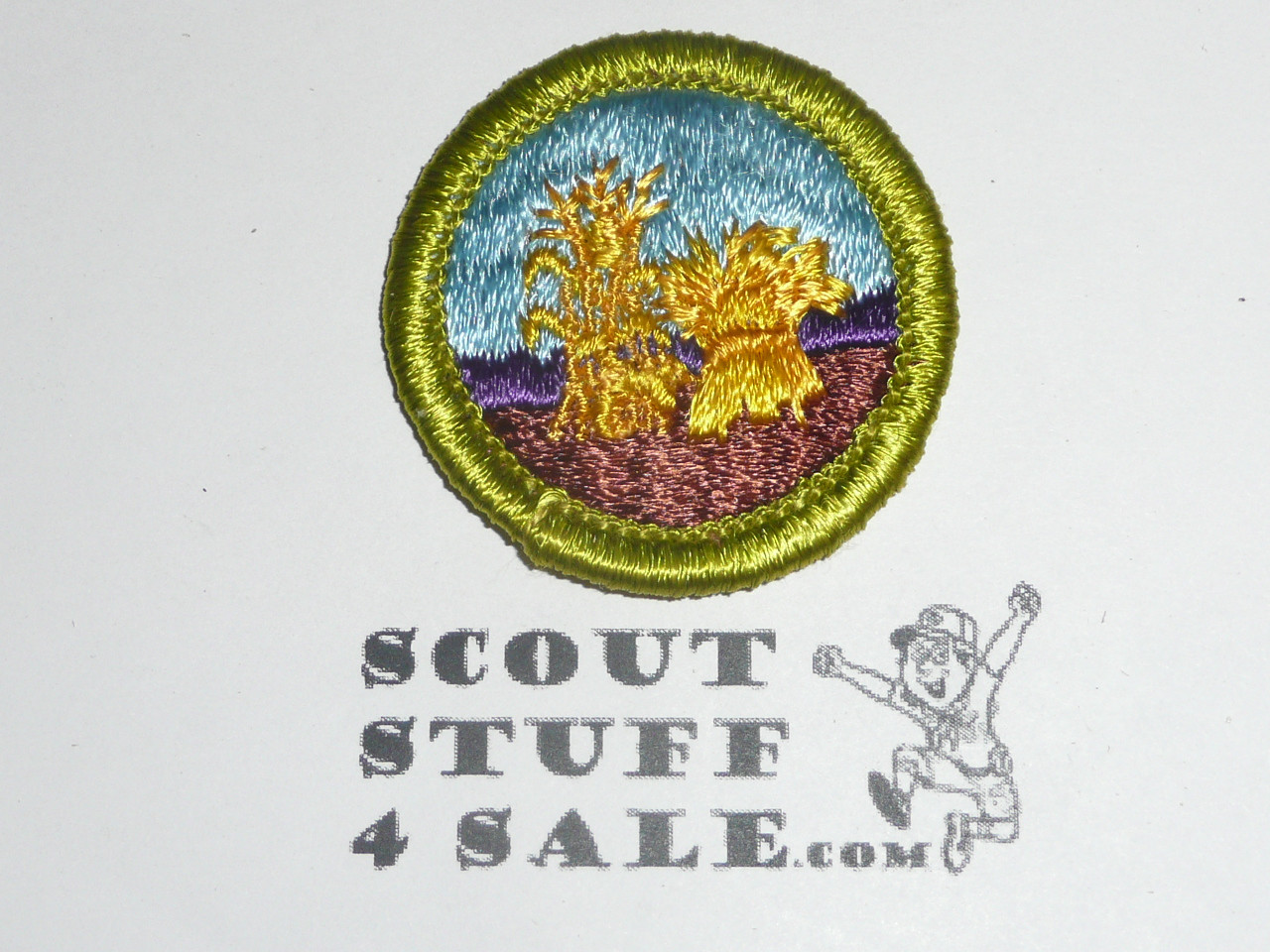 Small Grains - Type H - Fully Embroidered Plastic Back Merit Badge (1972-2002)