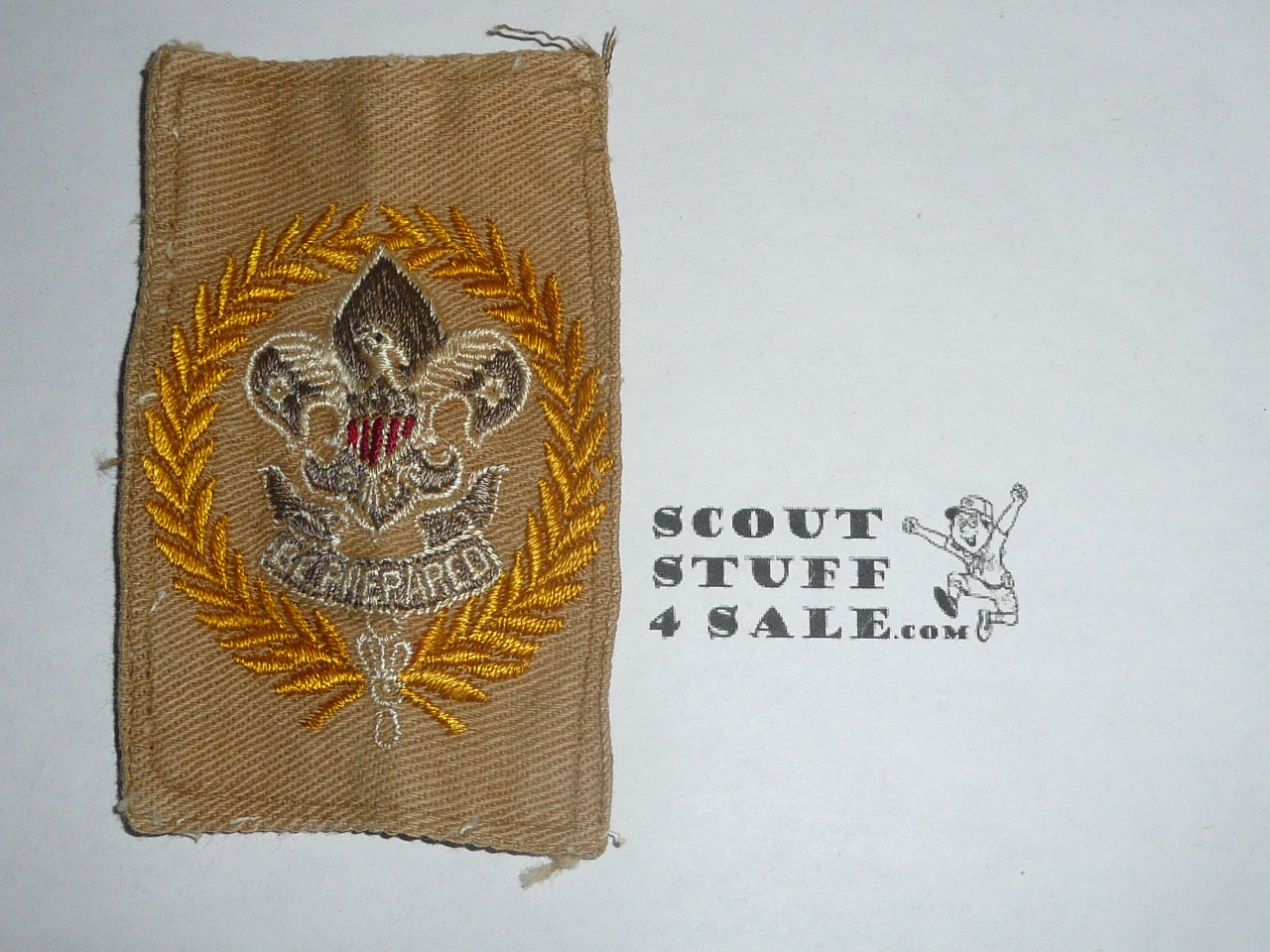 District Commissioner / Deputy Scout Commissioner Patch (DSC1) 1920's ...