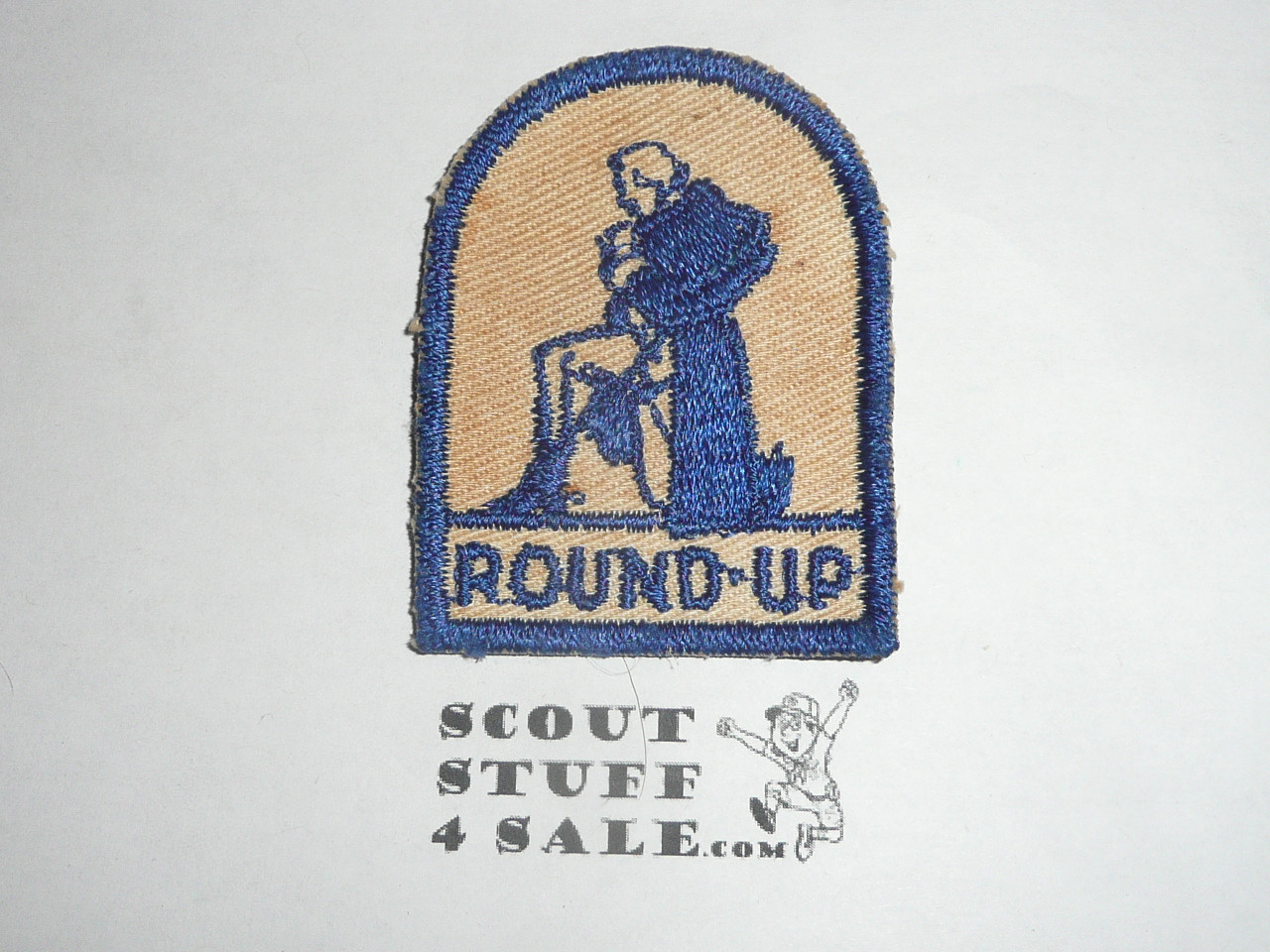 Round-up Patch, Generic BSA issue, George Washington, used