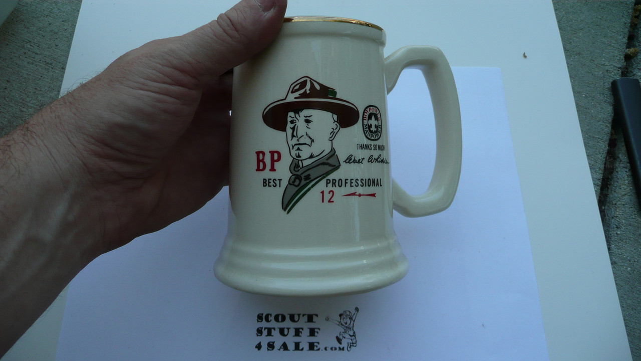 Region 12 "Best Professional" Beer Stein - Boy Scout