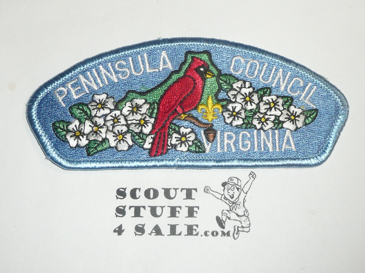 Peninsula Council s5 CSP - Scout
