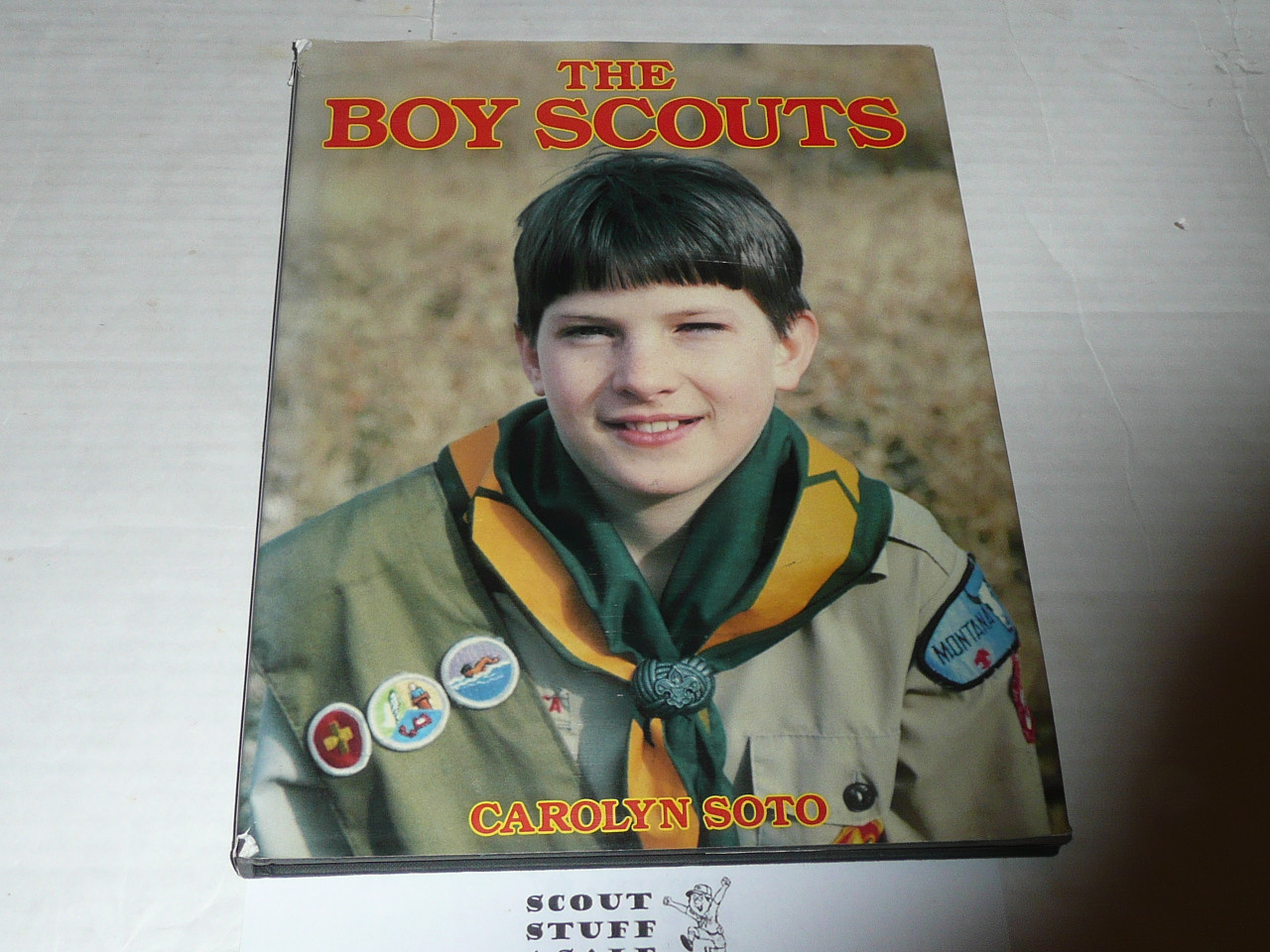 The Boy Scouts, By Carolyn Soto, MINT condition with dust jacket