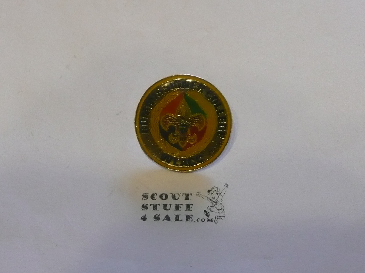 Western Los Angeles County Council Commissioner College Pin