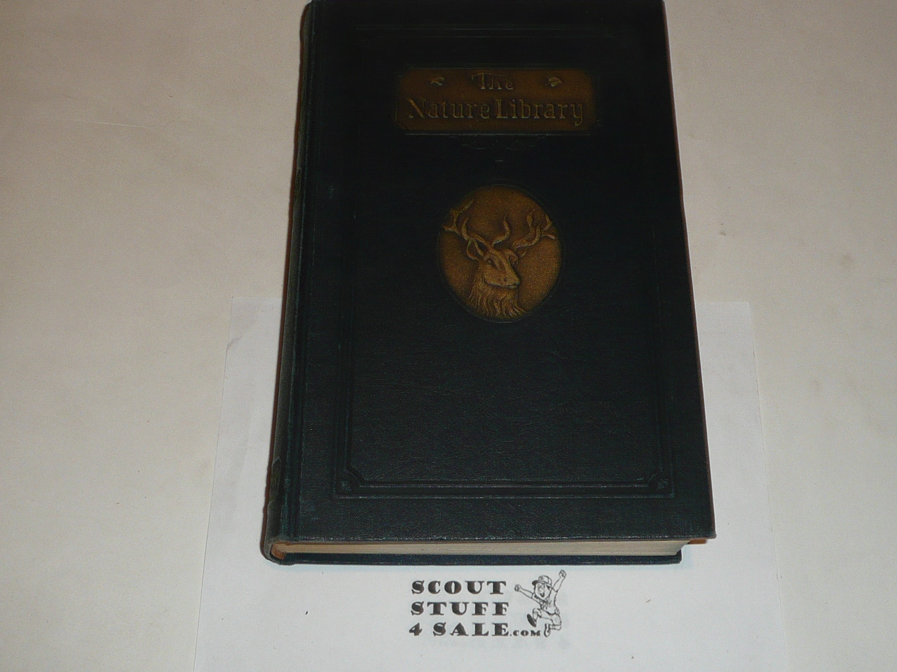 1926 The Nature Library - Animals, By Ernest Thompson Seton, lots of color pictures #3