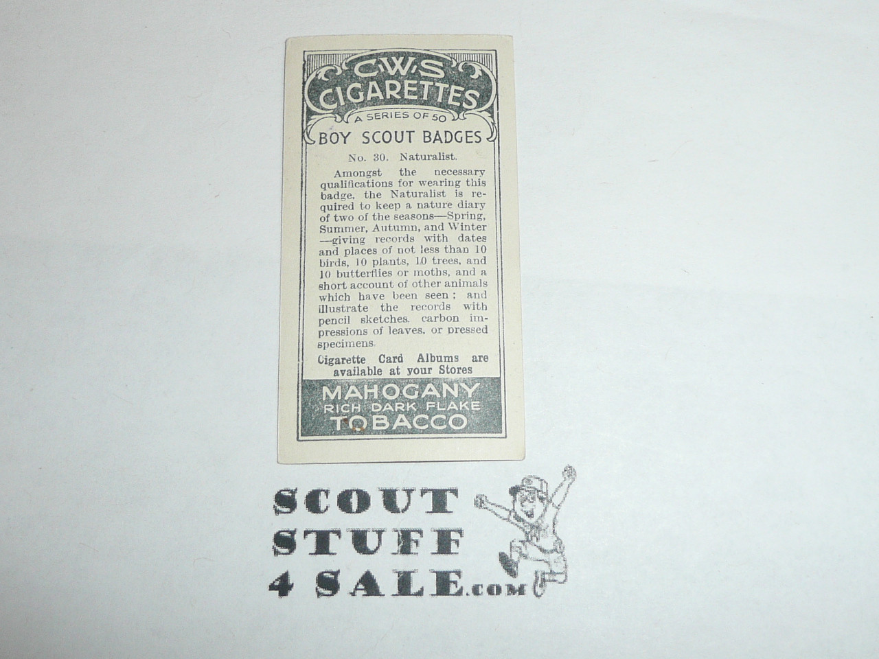 CWS Cigarette Company Premium Card, Boy Scout Badges Series of 50, Card #30 Naturalist, 1939