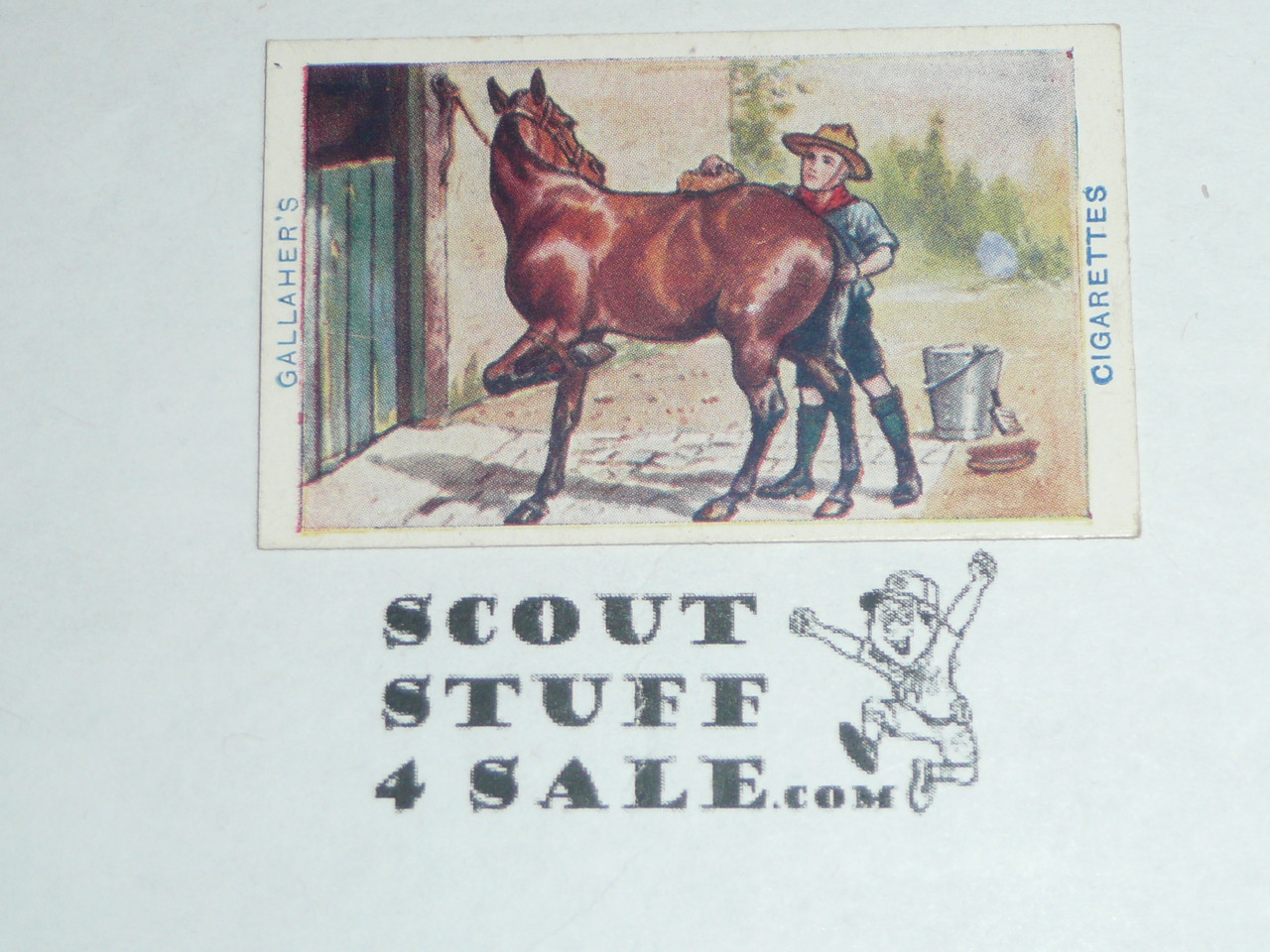 Gallaher ltd Cigarette Company Premium Card, Boy Scout Series of 100, Card #6 How to Clean a Kicking Pony, 1911