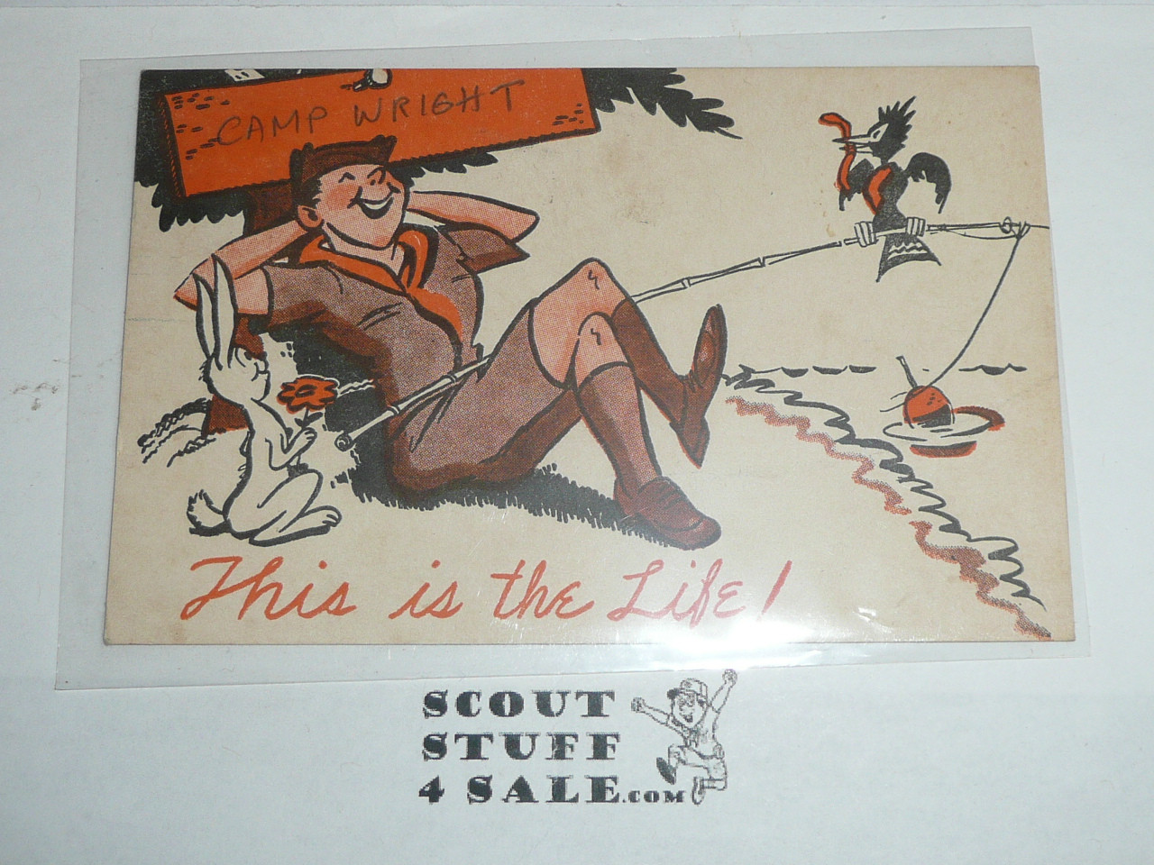 Generic BSA National Supply Cartoon Post card, This is the Life, 1954