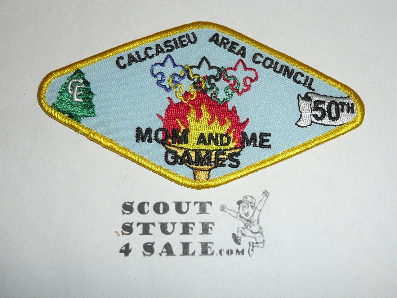 Calcasieu Area Council ta16 CSP - Scout