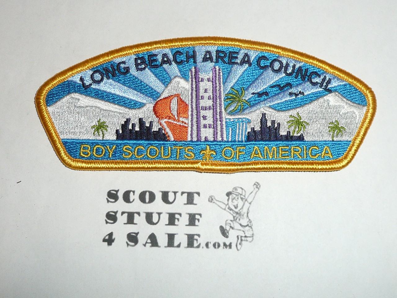 Long Beach Area Council s23 CSP - Scout
