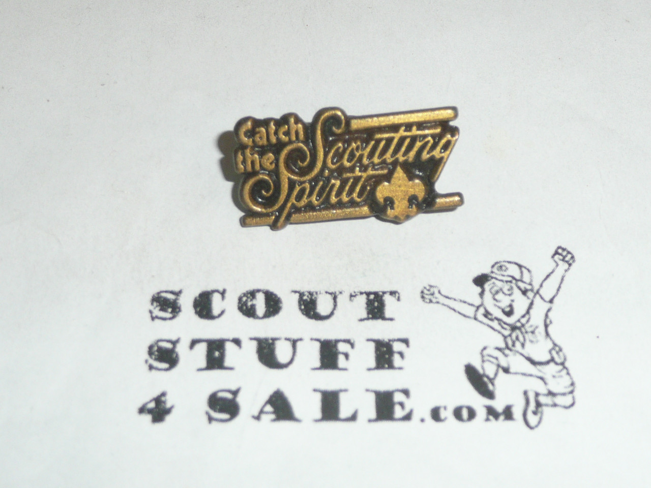 Catch the Scouting Spirit Pin