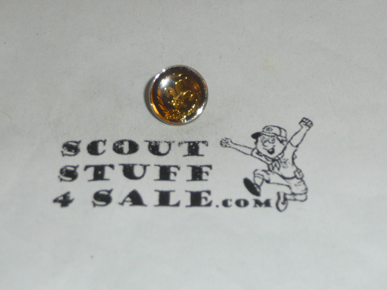 World Scouting Emblem small lapel pin