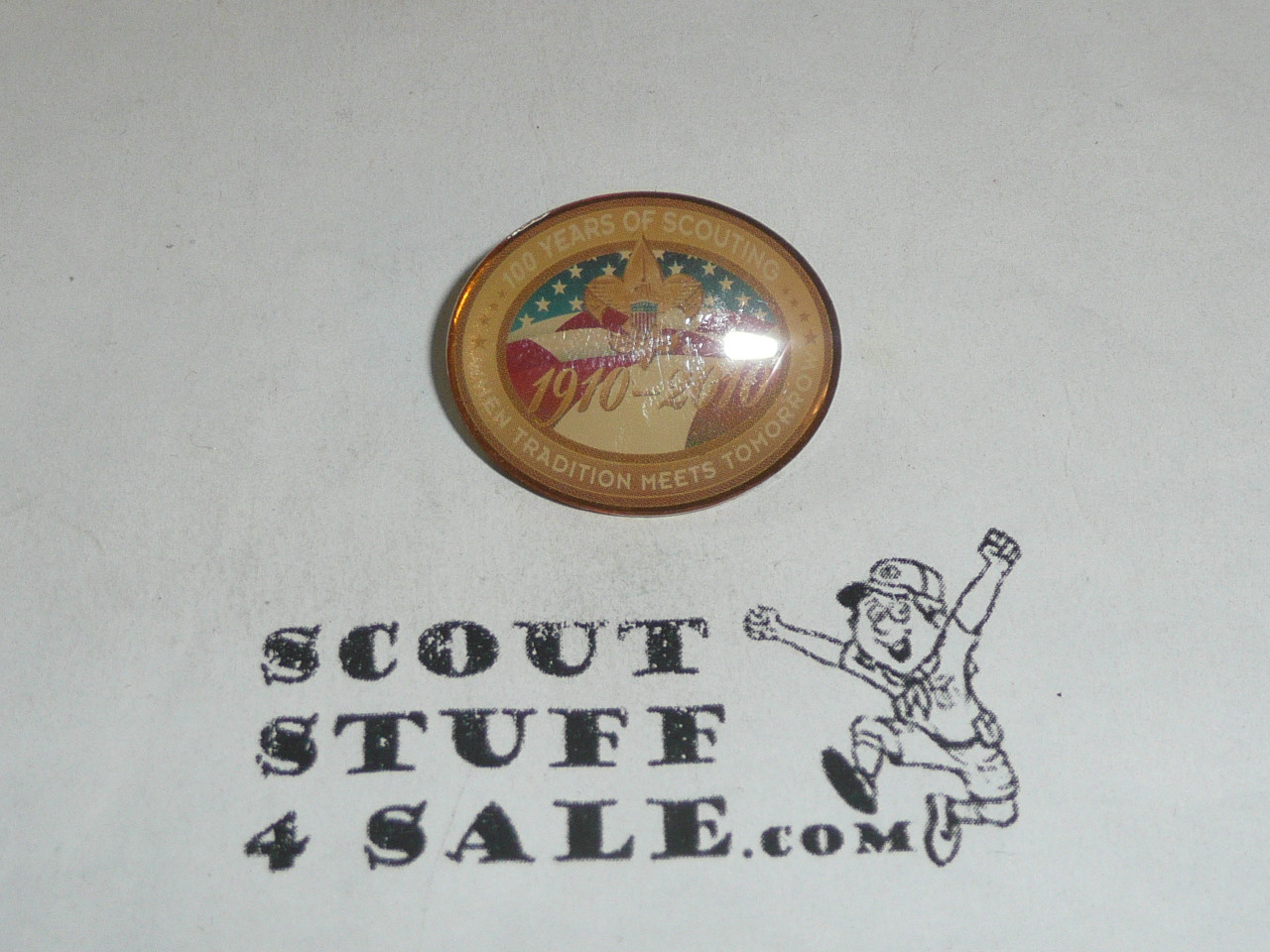 Boy Scout BSA 100th Years of Scouting When Tradition Meets Tomorrow Pin