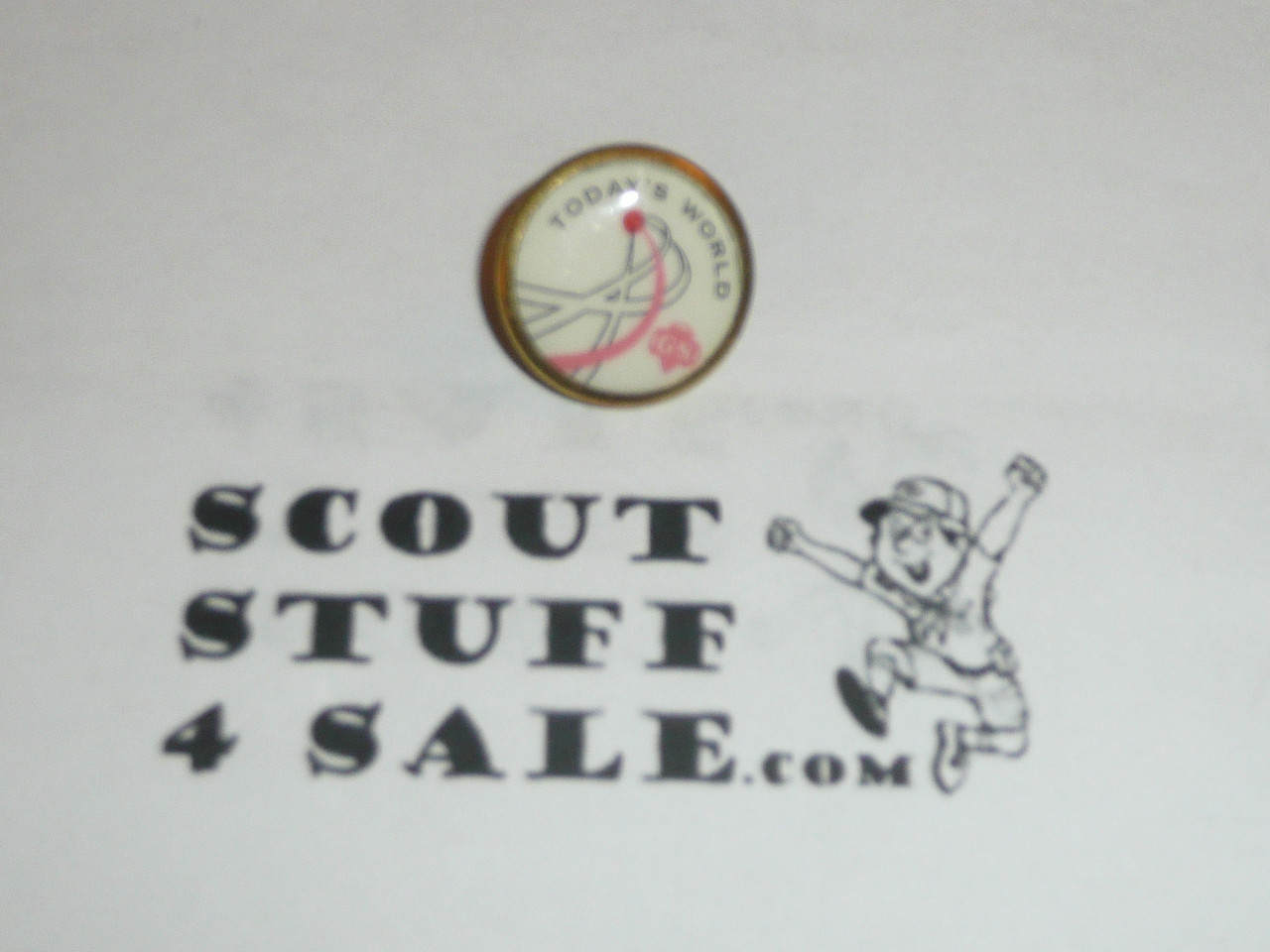 1970's Girl Scout Challenge of Today's World Pin