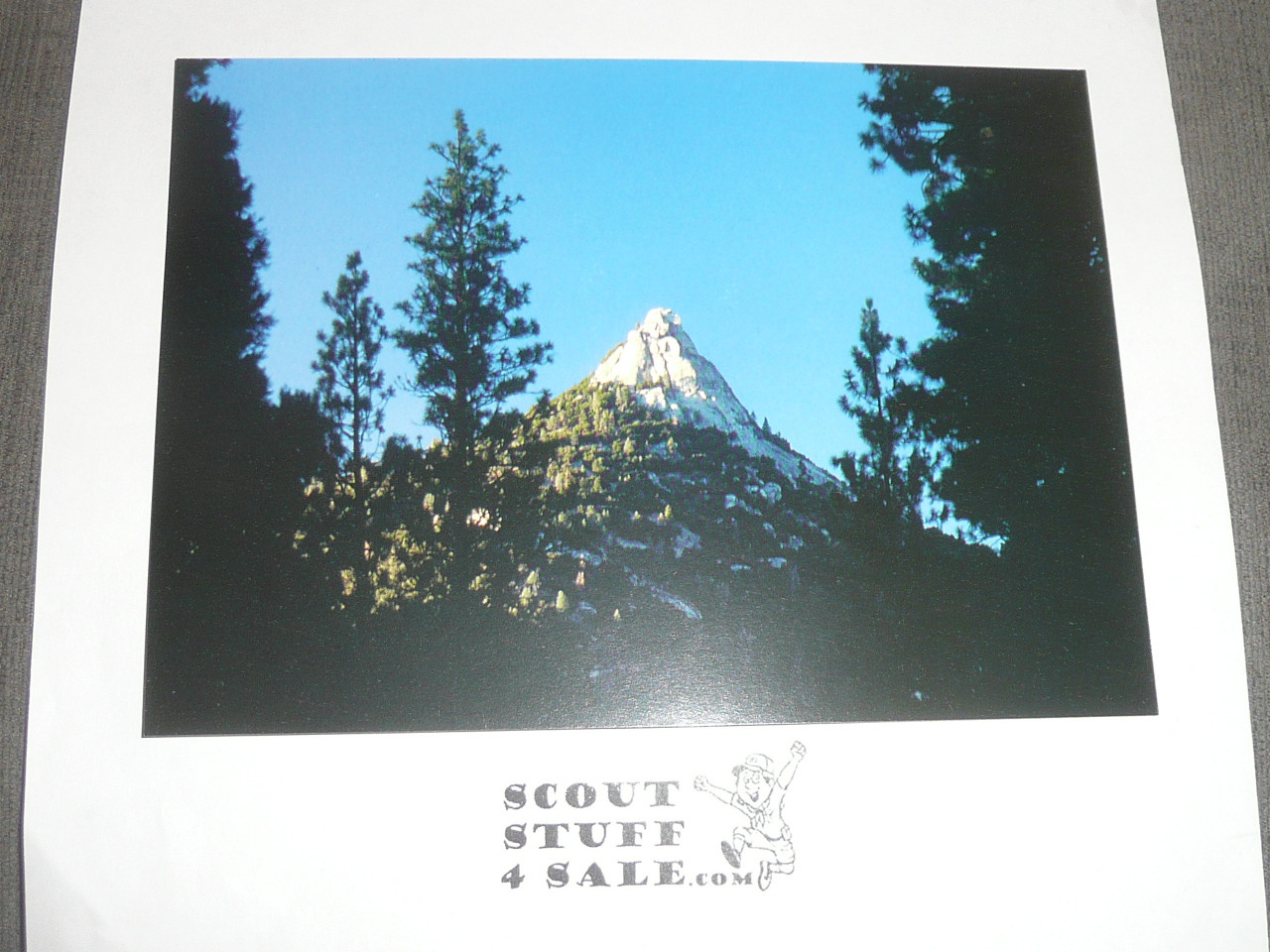 1990's Camp Whitsett Postcard, Sentinel Peak