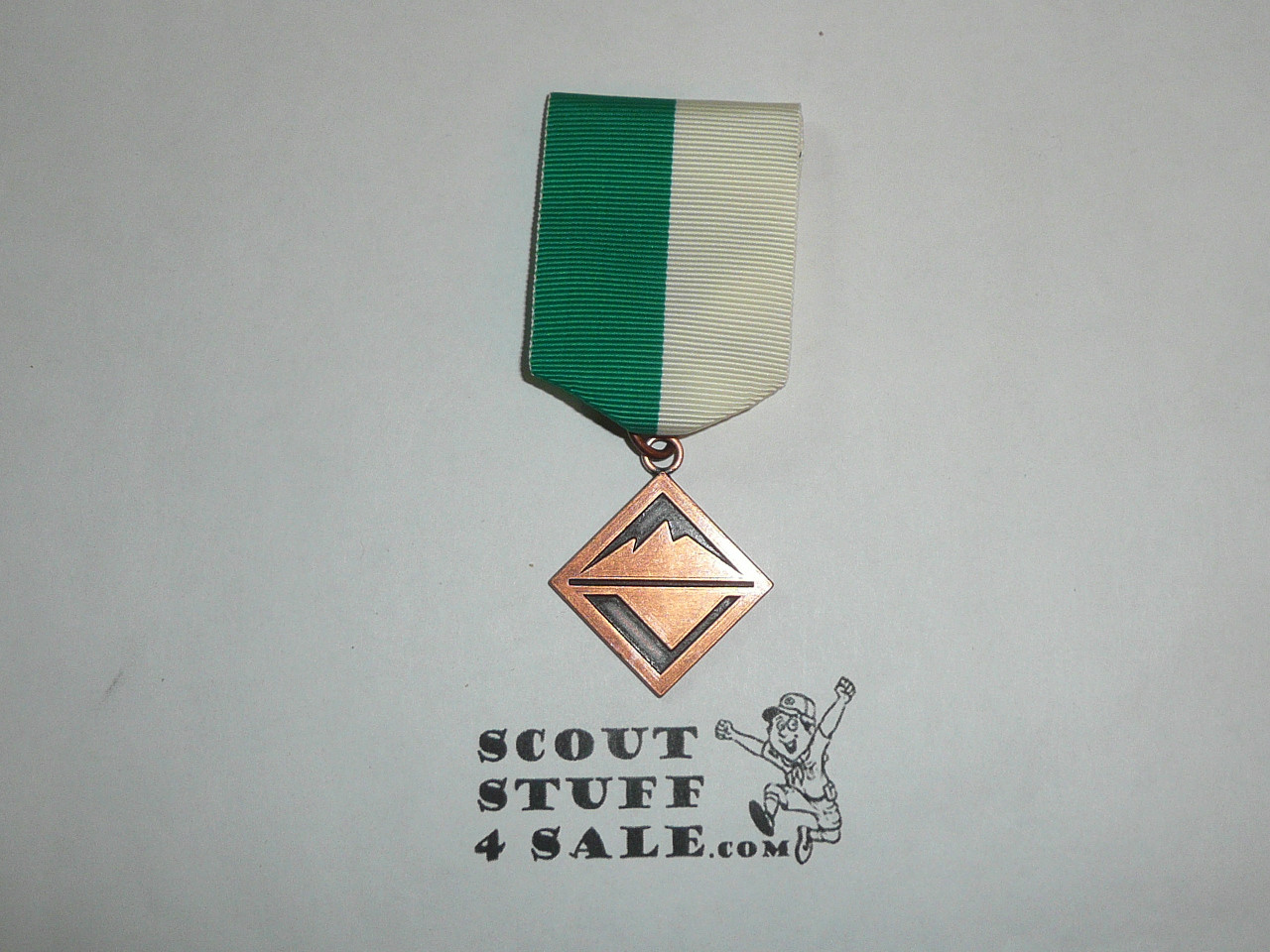 Venturing Bronze Award Medal